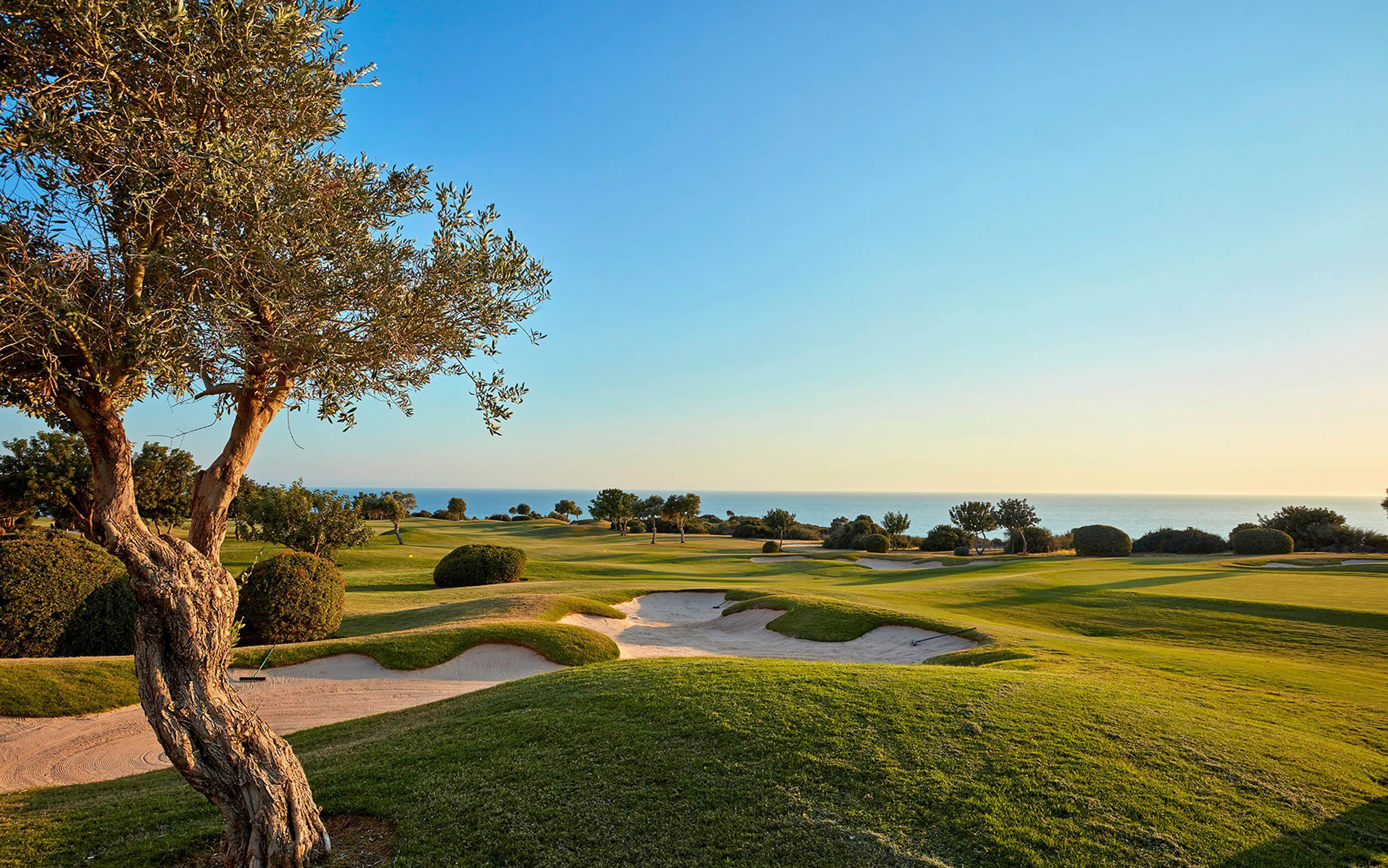 Cyprus PGA national golf course